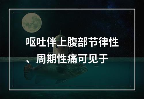 呕吐伴上腹部节律性、周期性痛可见于