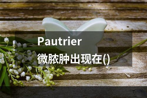 Pautrier微脓肿出现在()