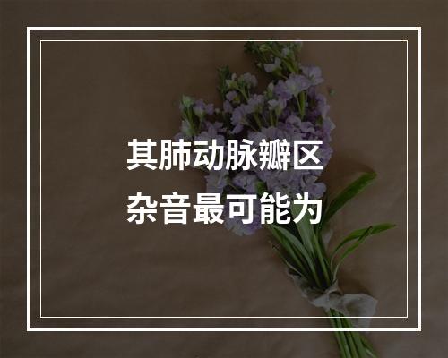 其肺动脉瓣区杂音最可能为