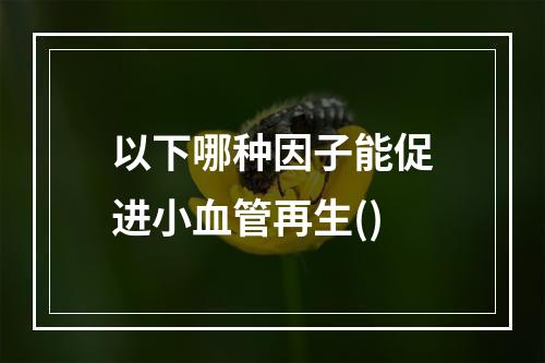 以下哪种因子能促进小血管再生()