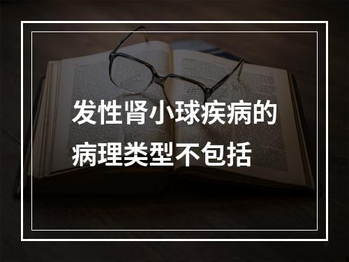 发性肾小球疾病的病理类型不包括