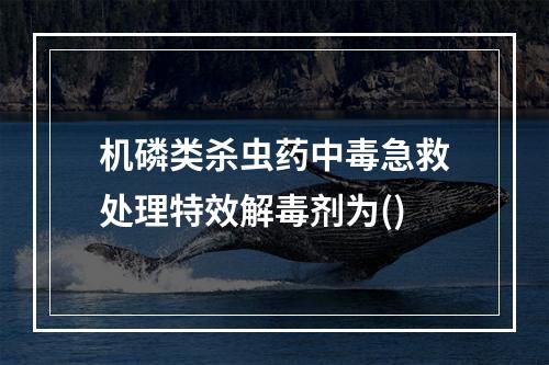 机磷类杀虫药中毒急救处理特效解毒剂为()