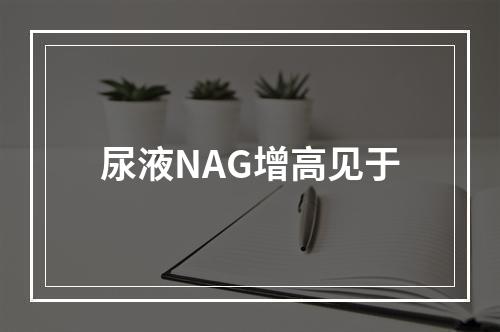 尿液NAG增高见于