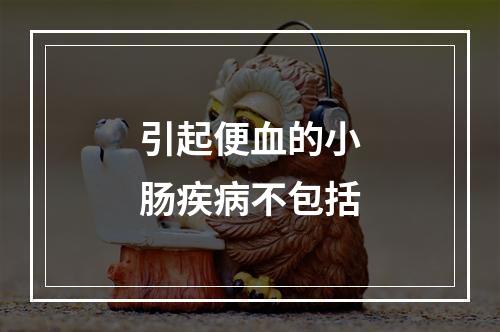 引起便血的小肠疾病不包括