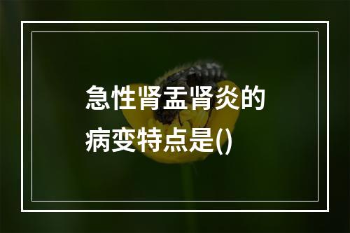 急性肾盂肾炎的病变特点是()