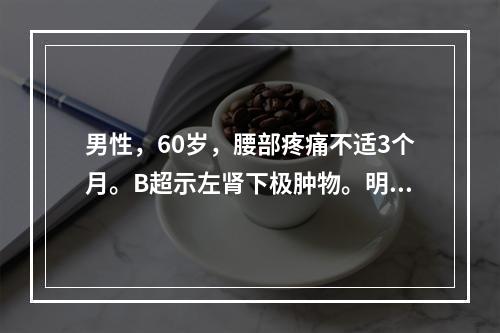 男性，60岁，腰部疼痛不适3个月。B超示左肾下极肿物。明确诊