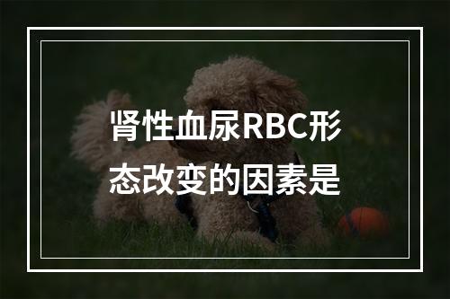 肾性血尿RBC形态改变的因素是