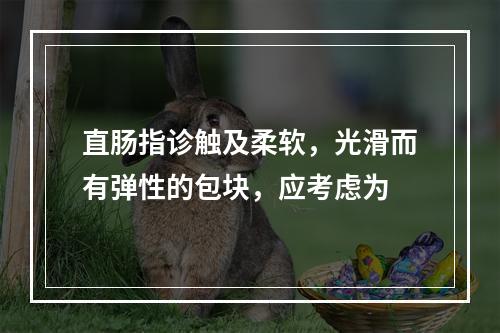 直肠指诊触及柔软，光滑而有弹性的包块，应考虑为