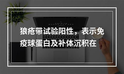 狼疮带试验阳性，表示免疫球蛋白及补体沉积在