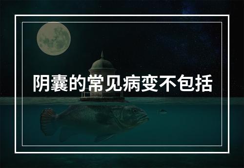 阴囊的常见病变不包括