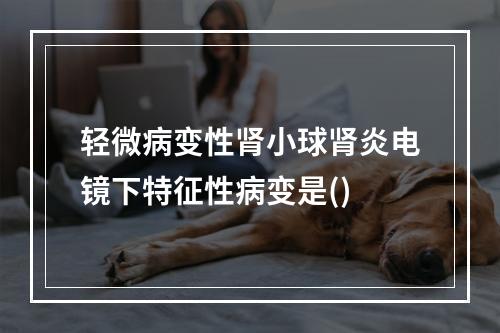 轻微病变性肾小球肾炎电镜下特征性病变是()