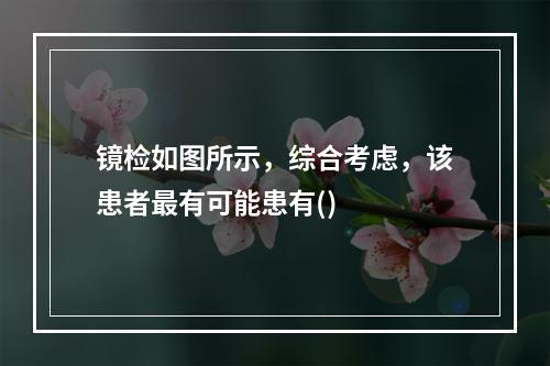 镜检如图所示，综合考虑，该患者最有可能患有()