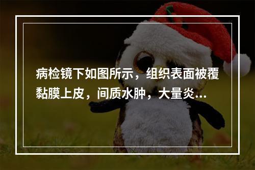 病检镜下如图所示，组织表面被覆黏膜上皮，间质水肿，大量炎细胞