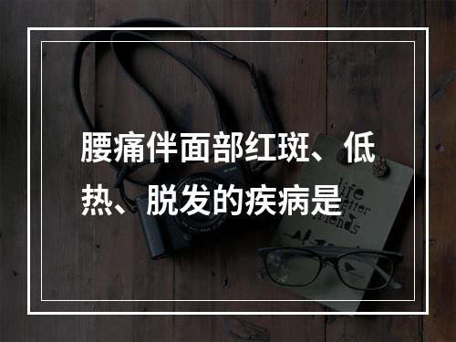 腰痛伴面部红斑、低热、脱发的疾病是