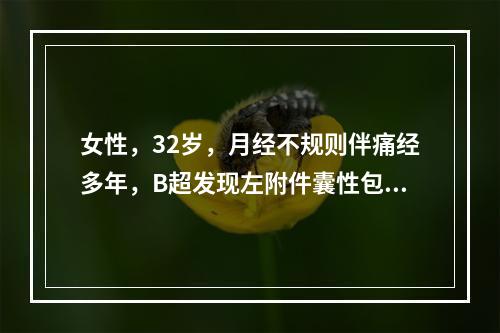 女性，32岁，月经不规则伴痛经多年，B超发现左附件囊性包块，