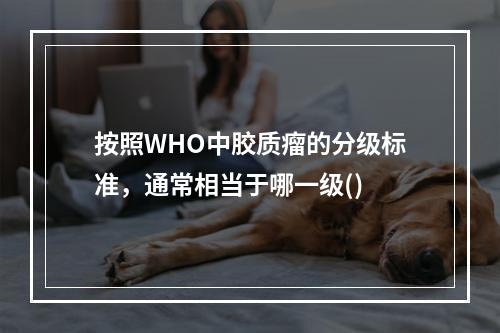 按照WHO中胶质瘤的分级标准，通常相当于哪一级()