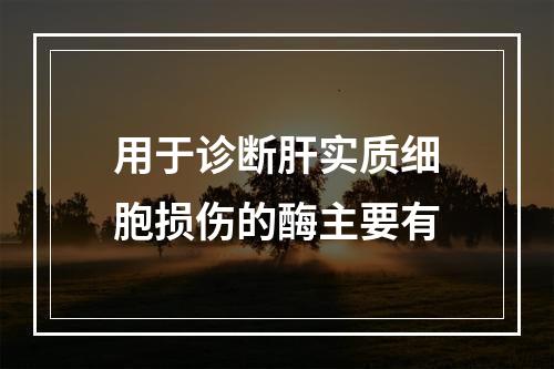 用于诊断肝实质细胞损伤的酶主要有