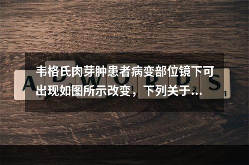 韦格氏肉芽肿患者病变部位镜下可出现如图所示改变，下列关于该病