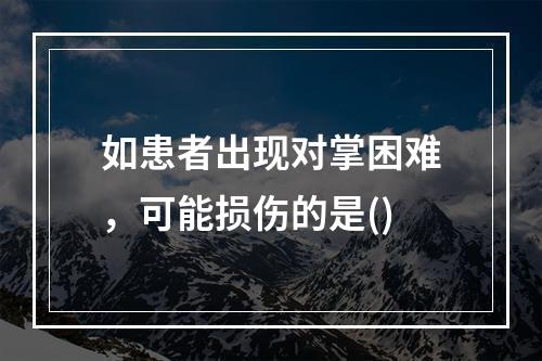 如患者出现对掌困难，可能损伤的是()