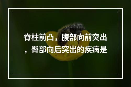 脊柱前凸，腹部向前突出，臀部向后突出的疾病是