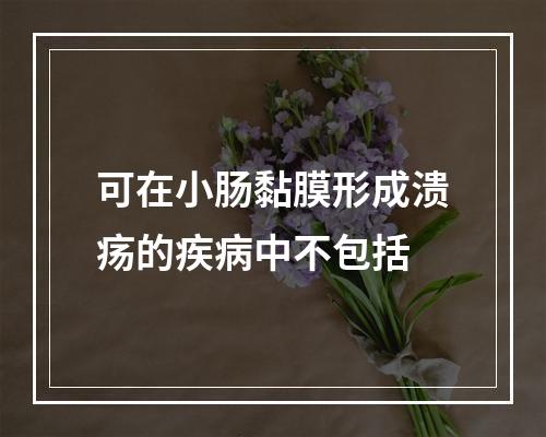 可在小肠黏膜形成溃疡的疾病中不包括