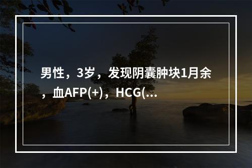 男性，3岁，发现阴囊肿块1月余，血AFP(+)，HCG(-)