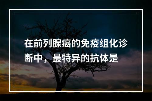 在前列腺癌的免疫组化诊断中，最特异的抗体是