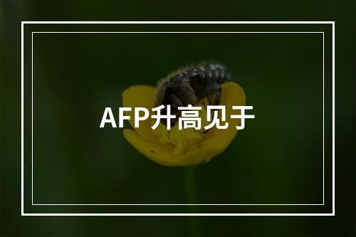 AFP升高见于