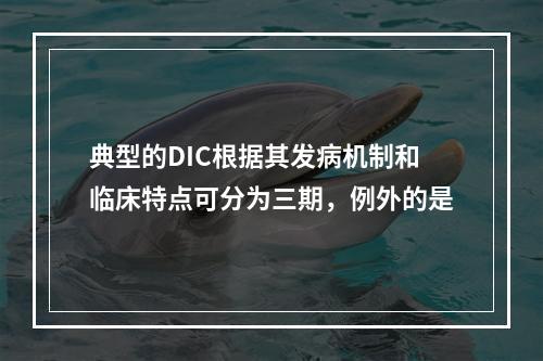 典型的DIC根据其发病机制和临床特点可分为三期，例外的是