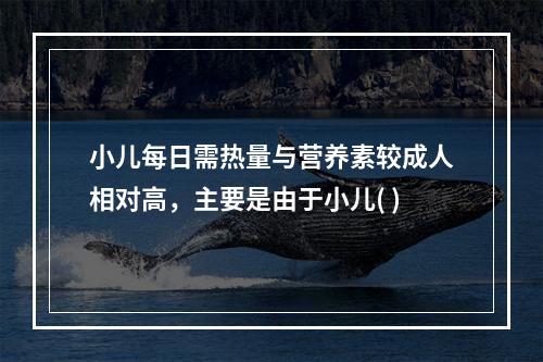 小儿每日需热量与营养素较成人相对高，主要是由于小儿( )