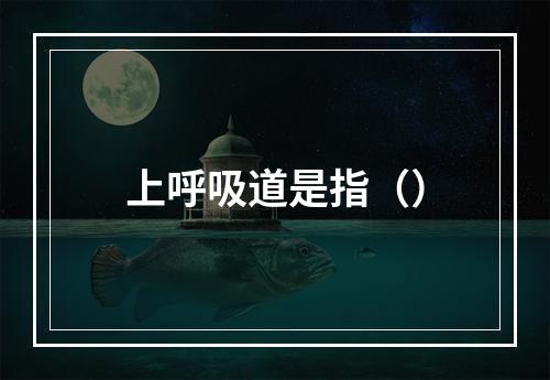 上呼吸道是指（）