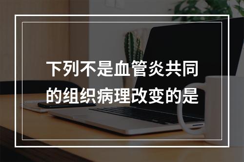 下列不是血管炎共同的组织病理改变的是