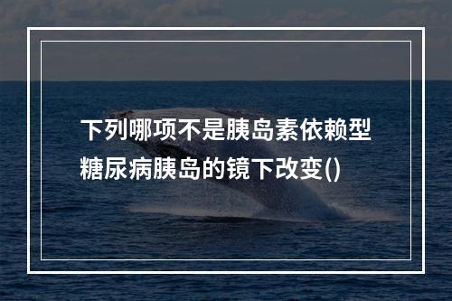 下列哪项不是胰岛素依赖型糖尿病胰岛的镜下改变()