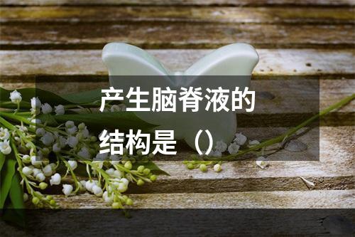 产生脑脊液的结构是（）