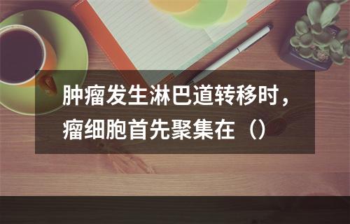 肿瘤发生淋巴道转移时，瘤细胞首先聚集在（）