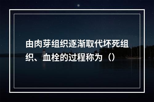 由肉芽组织逐渐取代坏死组织、血栓的过程称为（）