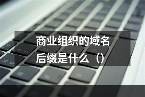 商业组织的域名后缀是什么（）