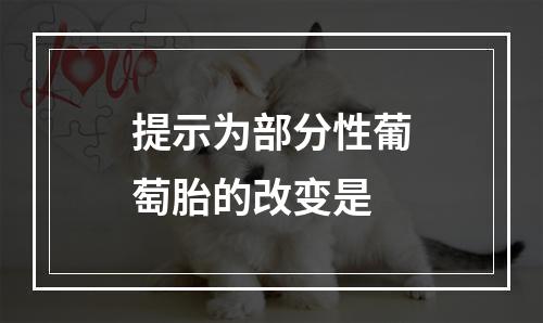 提示为部分性葡萄胎的改变是