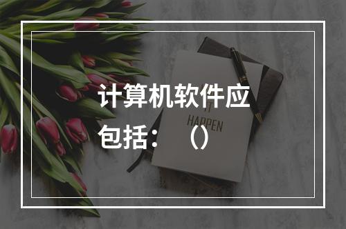 计算机软件应包括：（）