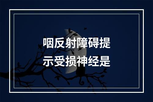 咽反射障碍提示受损神经是