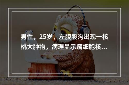 男性，25岁，左腹股沟出现一核桃大肿物，病理显示瘤细胞核仁明