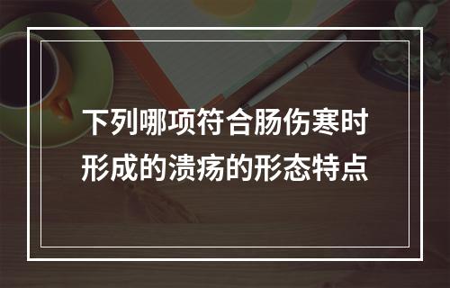 下列哪项符合肠伤寒时形成的溃疡的形态特点