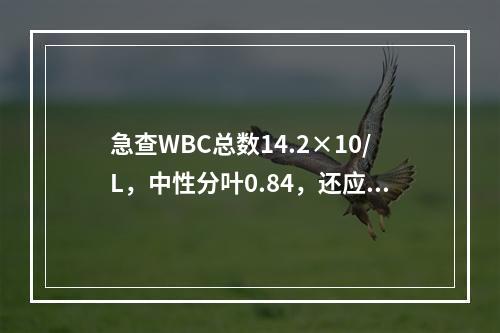 急查WBC总数14.2×10/L，中性分叶0.84，还应作下