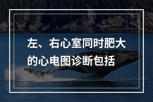 左、右心室同时肥大的心电图诊断包括