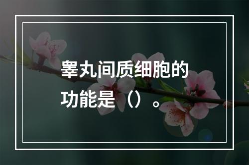 睾丸间质细胞的功能是（）。