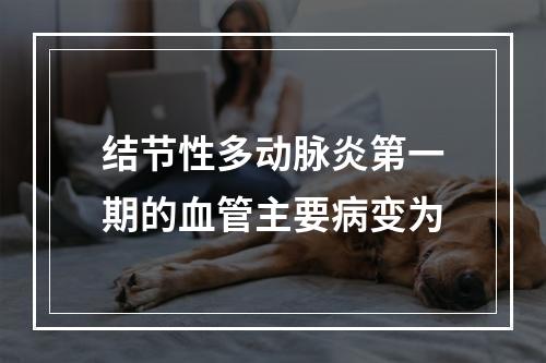 结节性多动脉炎第一期的血管主要病变为