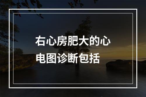 右心房肥大的心电图诊断包括