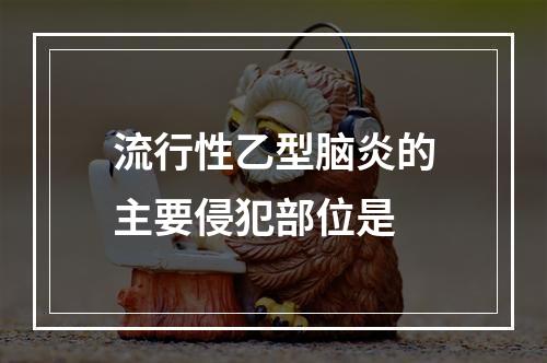 流行性乙型脑炎的主要侵犯部位是