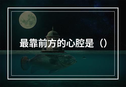 最靠前方的心腔是（）