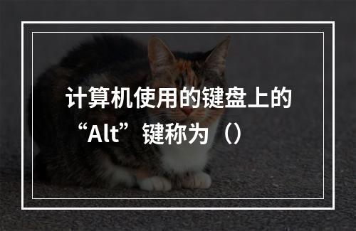 计算机使用的键盘上的“Alt”键称为（）